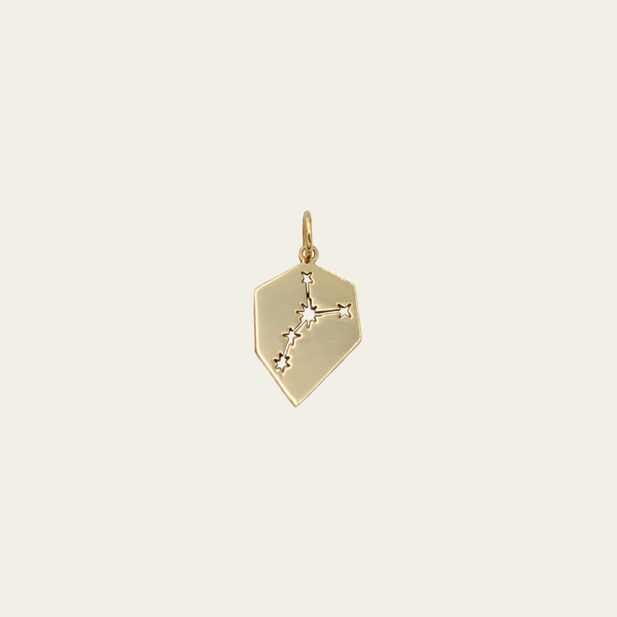 zodiac charms