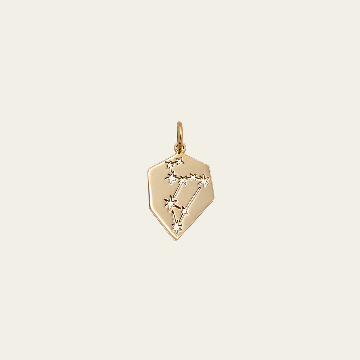 zodiac charms