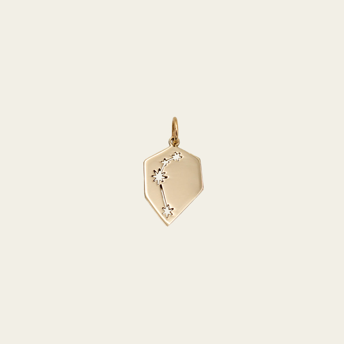 zodiac charms