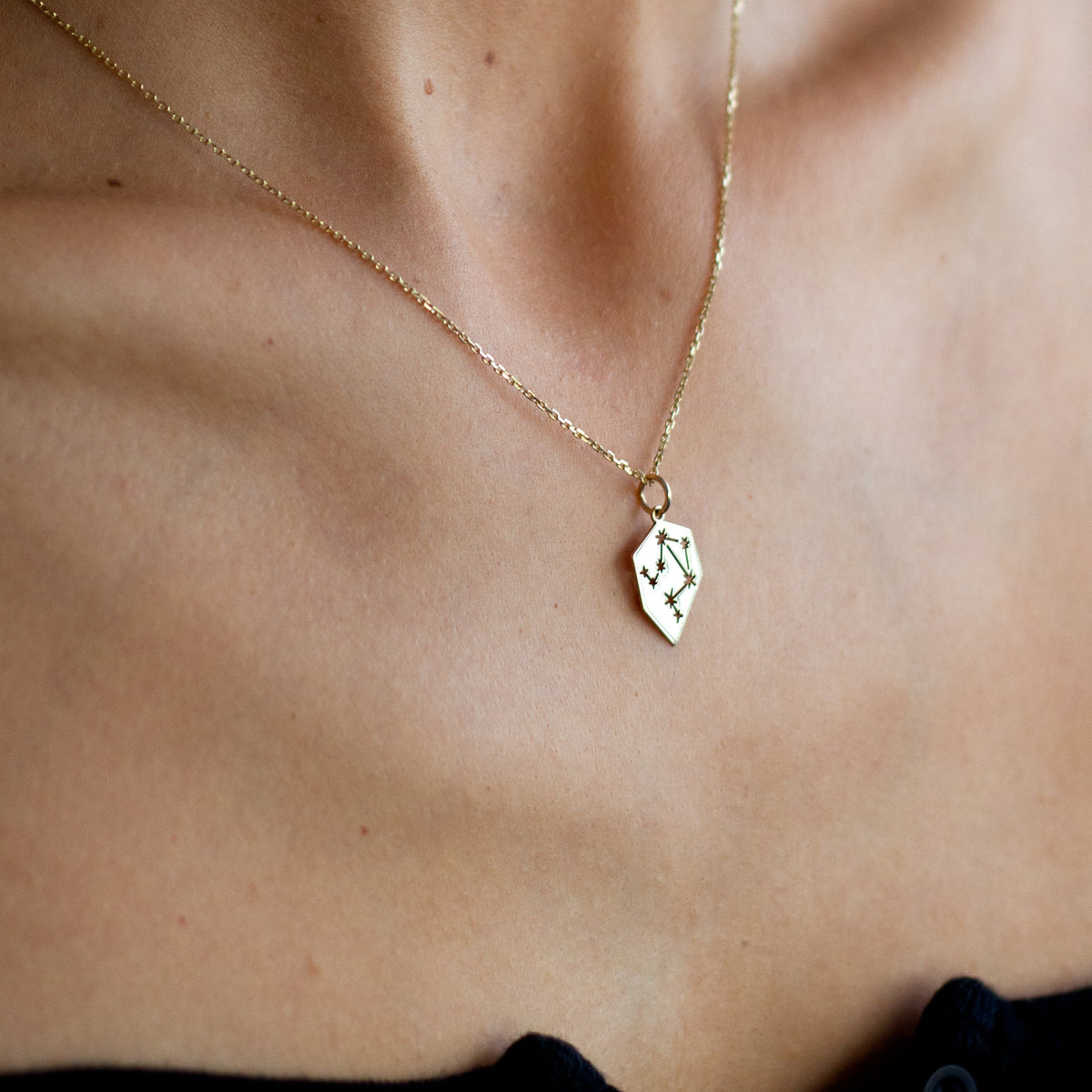 zodiac charms