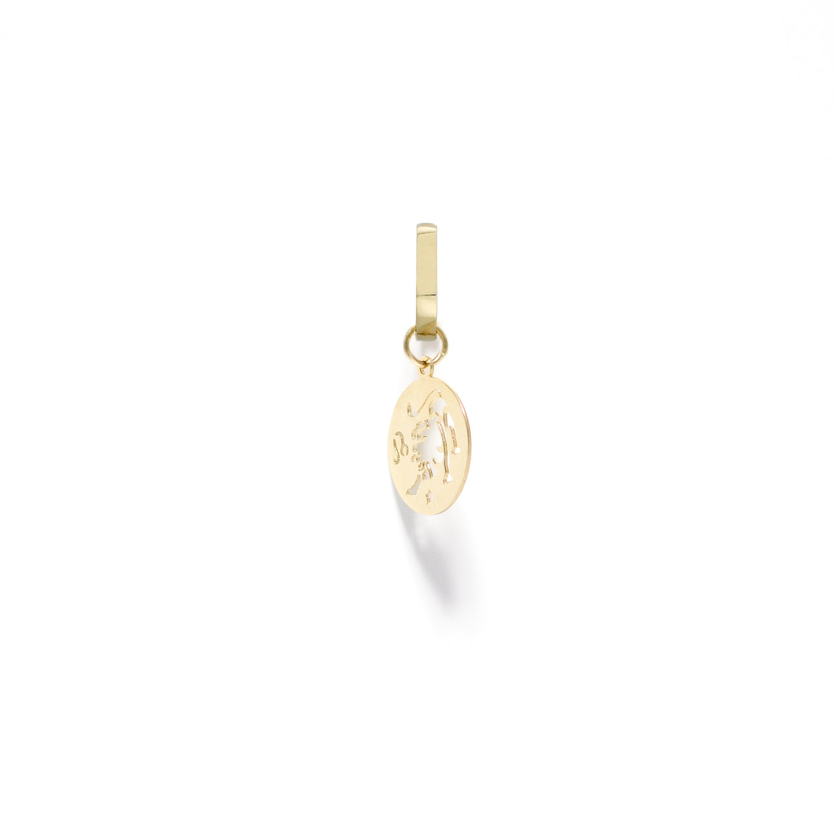 14k gold hoop earrings